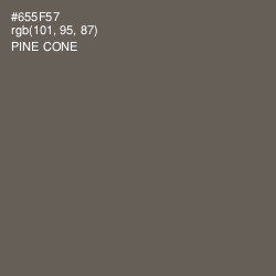 #655F57 - Pine Cone Color Image